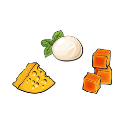 sketch mozzarella cheddar emmental cheese vector