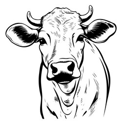 calf portrait sketch hand drawn farming and cattle Vector Image