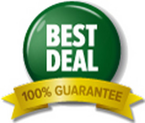 Green button with text best deal 100 guarantee vector