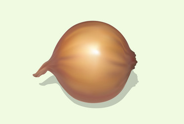 Onion icon gradient mesh realistic vector