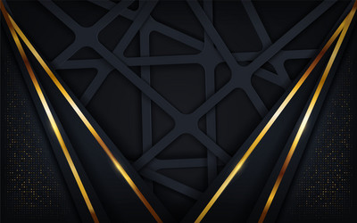 Abstract navy background with random lines shape vector
