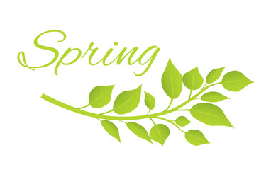 Spring and tree branch with green leaves on poster vector