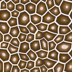 abstract modern turtle shell seamless pattern vector image