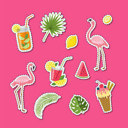 flat cute summer elements cocktails Vector Image
