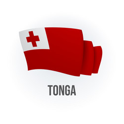 Tonga Flag - Realistic Representation Vector Image