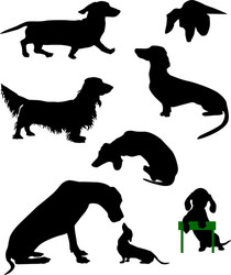 Dachshund Silhouettes Vector Image