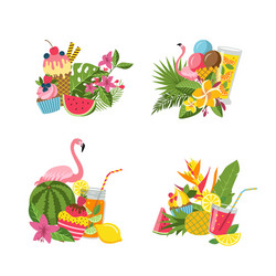 Tropical Summer Flamingo Collection Vector Image