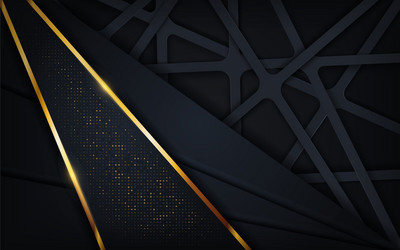abstract navy background with random lines shape vector image