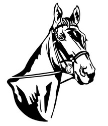 Horse Halter Vector Images (68)
