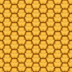 Pineapple Texture Seamless Pattern vector image