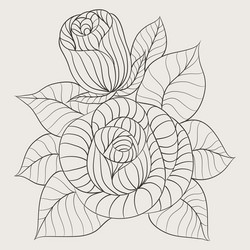 rose flower drawing Vector Image