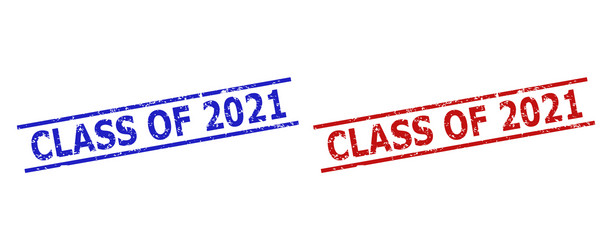 class of 2021 watermarks with unclean style vector image