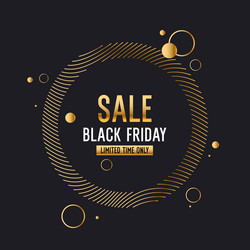 black friday a banner for the sale of goods Vector Image