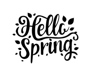 hello spring text isolated white background vector image