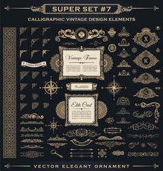 Calligraphic elements vintage ornament set Vector Image