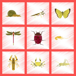 assembly flat shading style bug snail butterfly vector