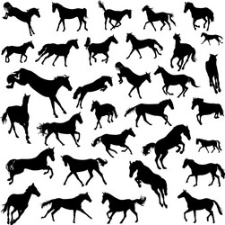 Horse Silhouettes - Galloping vector