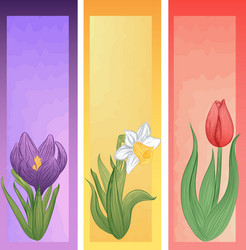 Set of spring banners with hand-drawn flowers vector