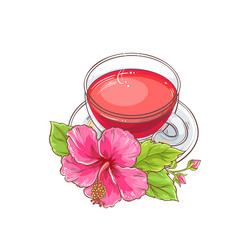 Hibiscus tea vector