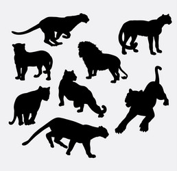 Wild Cat Silhouettes Vector Image