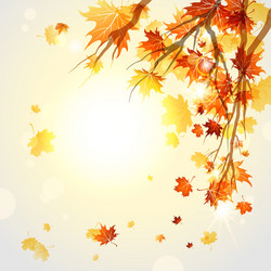 Autumn Branches with Falling Leaves Vector Image