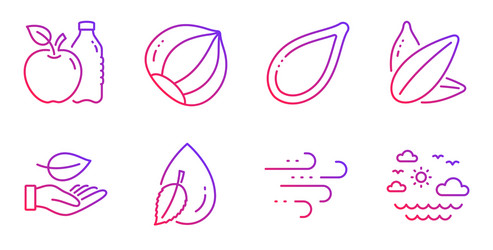 Water drop leaf and windy weather icons set vector