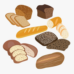 Assorted Bread Collection Vector Image