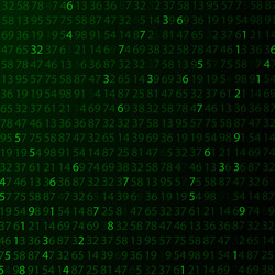 template coding and programming theme vector image