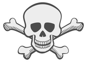 skull with crossed bones logo pirate symbol Vector Image