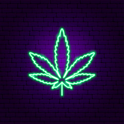 Marijuana drug plant neon glow icon Royalty Free Vector