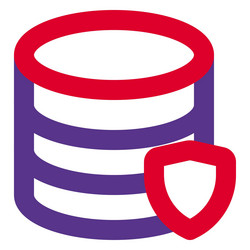 securing information via shield database vector image
