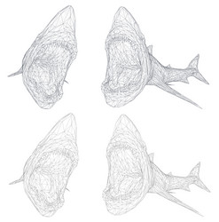 3d shark from a triangular grid vector
