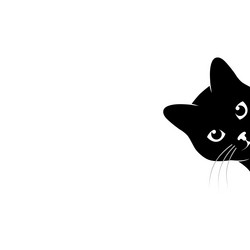 Collection of Cute cat cartoon face design icon. Cute cat cartoon face  vector illustration. 6792766 Vector Art at Vecteezy