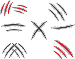 clawscratches Vector Image