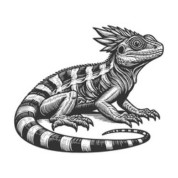 lizard engraving sketch Vector Image