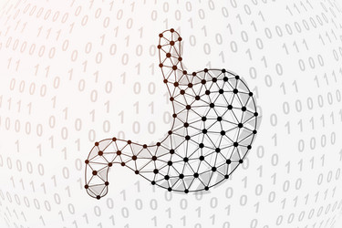 stomach 3d low poly symbol with binary code vector image