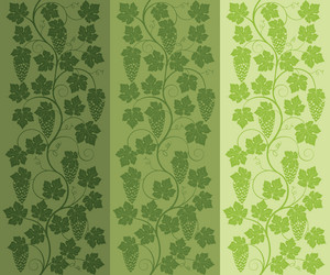 Elegant Vine Pattern Background vector