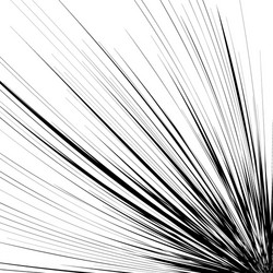abstract with radial radiating random lines vector image