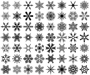 Snowflake Collection - Winter Patterns vector