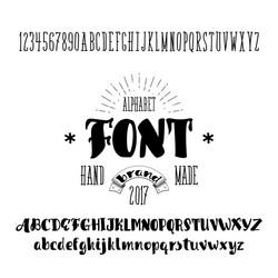 alphabet calligraphic font unique custom vector image