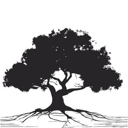 silhouette of big tree in summer on isolated vector image