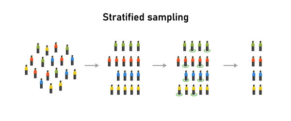 stratified random sampling statistical method vector image