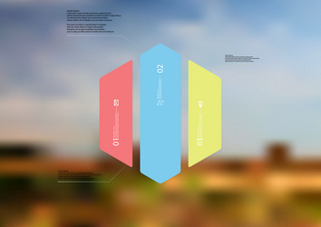 Infographic template with hexagon vertically vector