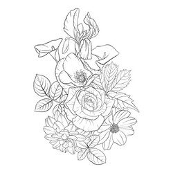 Floral Botanical Sketch Vector Image