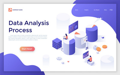 Isometric Data Analysis vector image