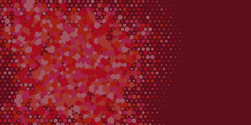 geometric multi size hexagon with color vector image