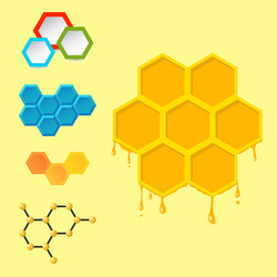 Linear hexagon design elements different vector