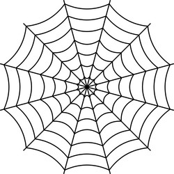 round spider web cobweb confusion network trap vector image