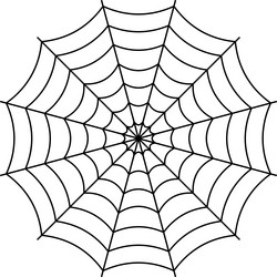 Round spider web cobweb confusion network trap vector