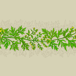 wormwood plant pattern on color background vector